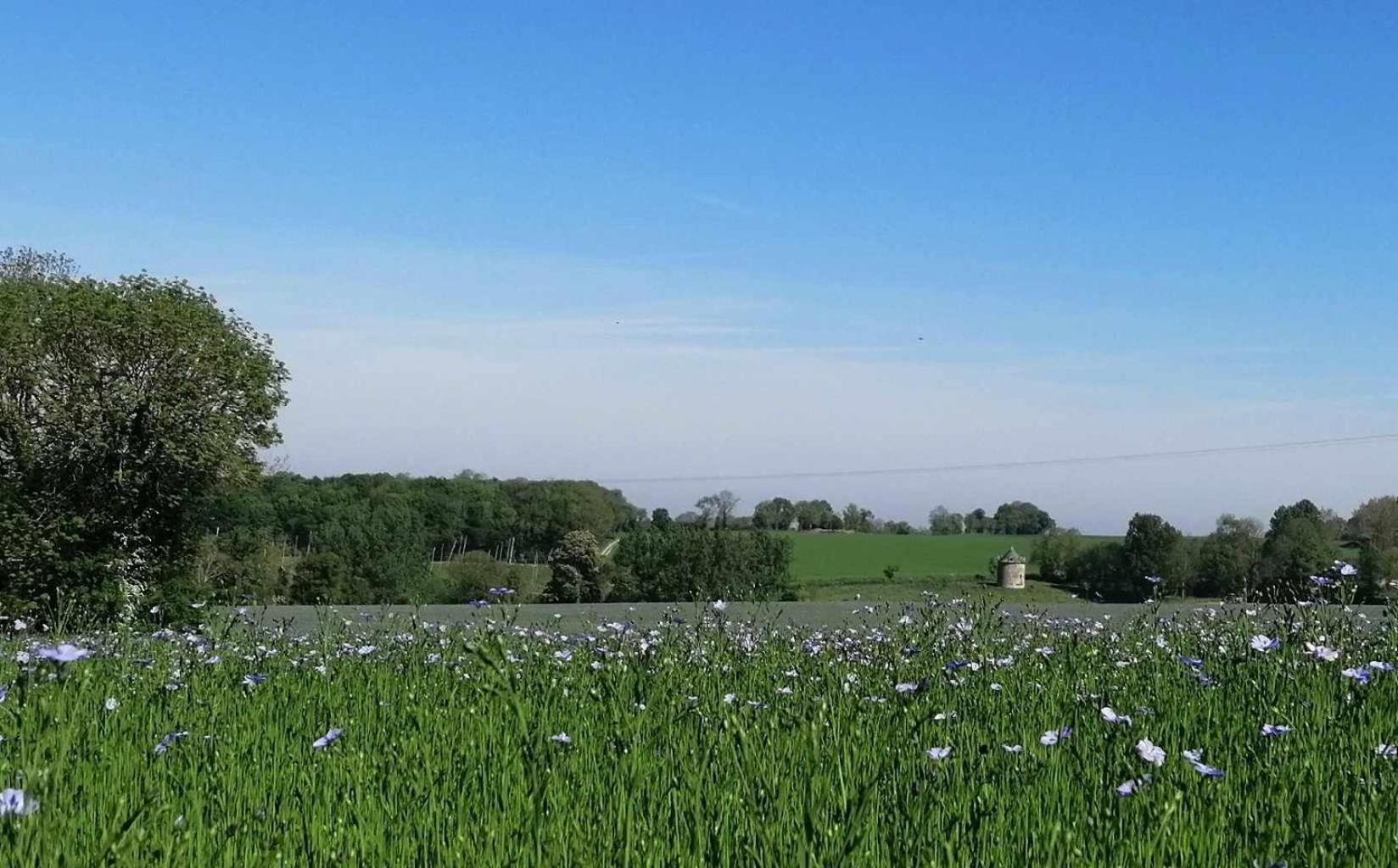 La Vieille Ferme Villa Donnay Buitenkant foto