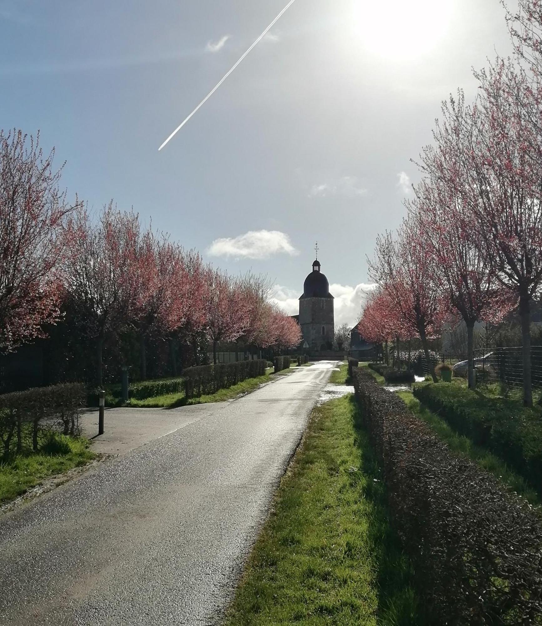 La Vieille Ferme Villa Donnay Buitenkant foto